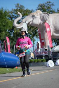 BIB: 
                            <button type="button" onclick="openModal(26545129)" class="btn btn-primary btn-sm float-right btn-popup" data-toggle="modal" data-target=".modal-high-quality">
                        <i class="fas fa-shopping-cart"></i> Add to Cart
                    </button>
                                            <button type="button" onclick="isThisMe(26545129, true)" class="btn btn-success btn-sm float-right btn-popup btn-isme hidden" data-toggle="tooltip" data-placement="bottom" title="นี่คือรูปของคุณใช่ไหม คลิกที่นี่เพื่อเอาเข้าอัลบั้ม">
                        <i class="fas fa-plus"></i> Add to album
                    </button>
                    <button type="button" onclick="isThisMe(26545129, false)" class="btn btn-warning btn-sm float-right btn-popup btn-isnotme hidden">
                        <i class="fas fa-ban"></i> Remove from album
                    </button>